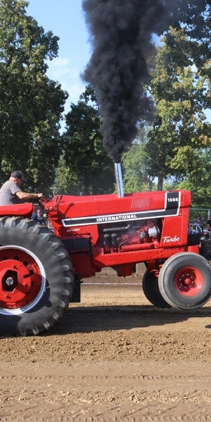 8B6A2575
